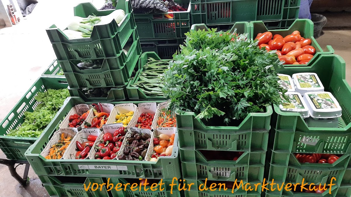 Gemüsekisten der Gärtnerei Hornig, vorbereitet für den Marktverkauf
