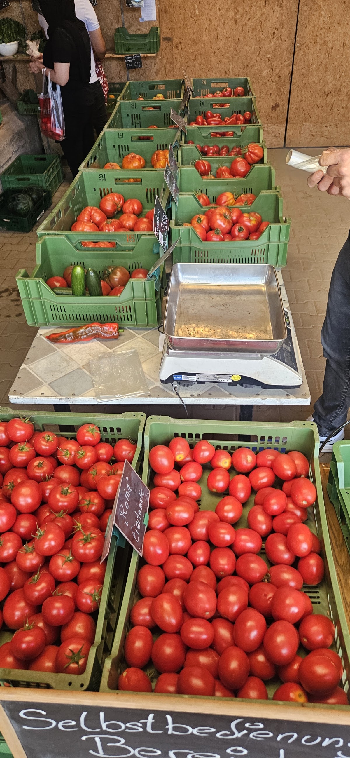 Tomatenauslage der Gärtnerei Hornig mit Waage zur Selbstbedienung